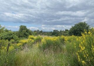  Terrain  vendre 1280 m