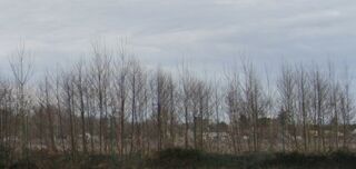  Terrain � vendre 500 m�