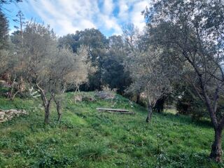  Terrain � vendre 970 m�