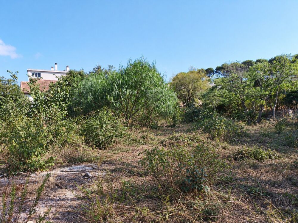 vente Terrain - 290 m² Toulon (83000)