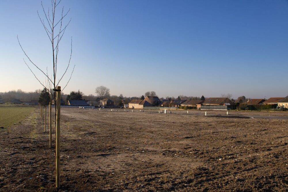 vente Terrain - 464 m² Aubigny-au-Bac (59265)