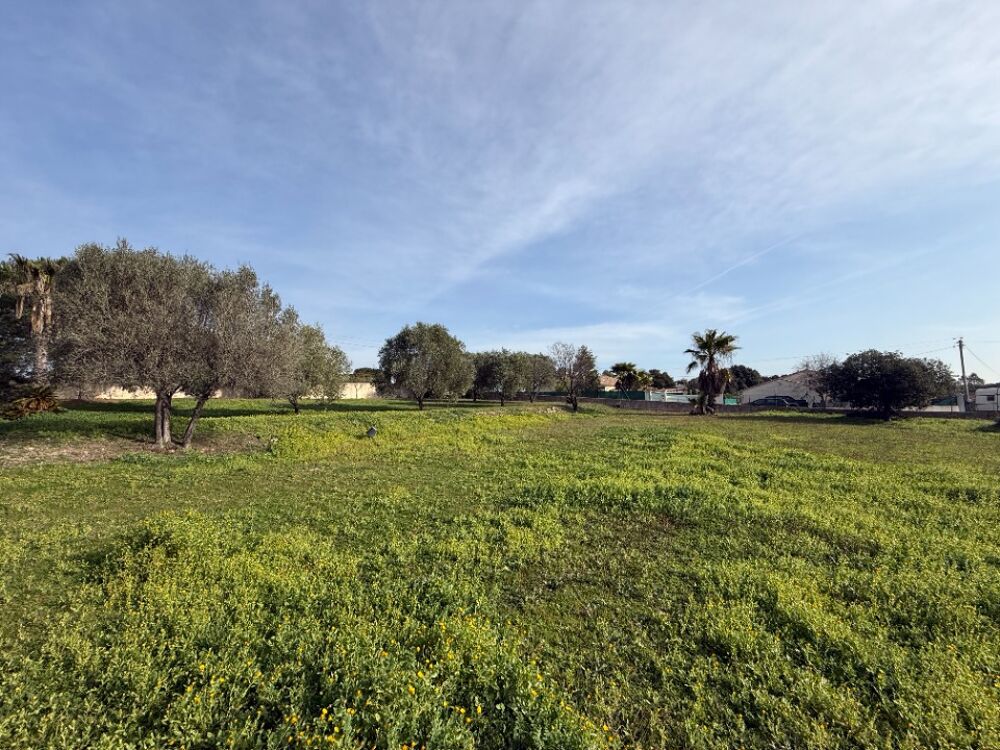 vente Terrain - 692 m² Roquebrune-sur-Argens (83520)