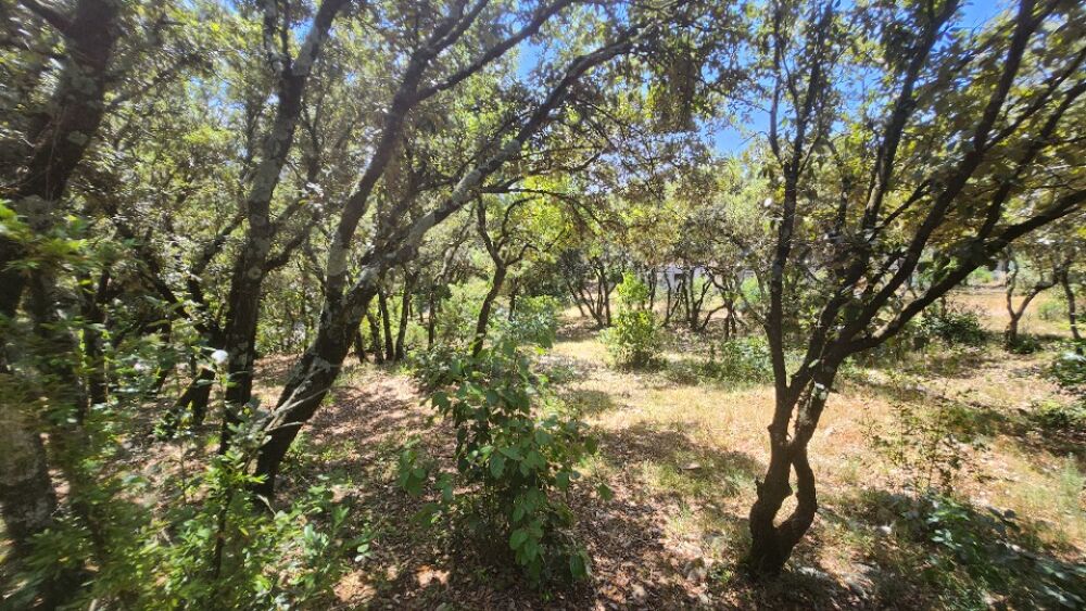 vente Terrain - 1131 m² Bourg-Saint-Andéol (07700)