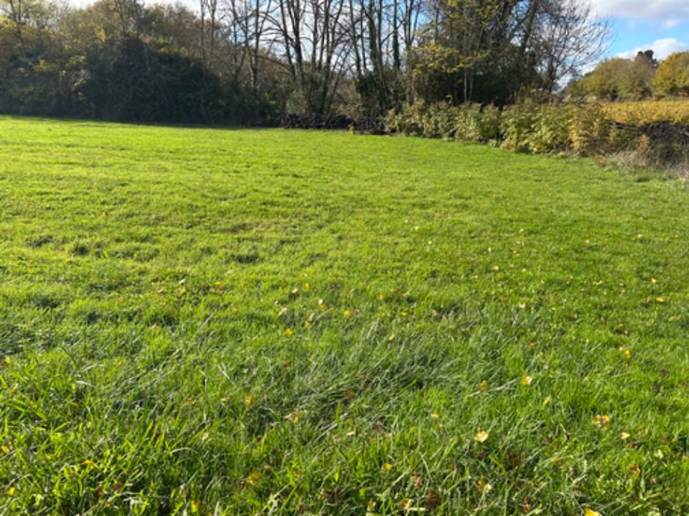 vente Terrain - 730 m² Portets (33640)