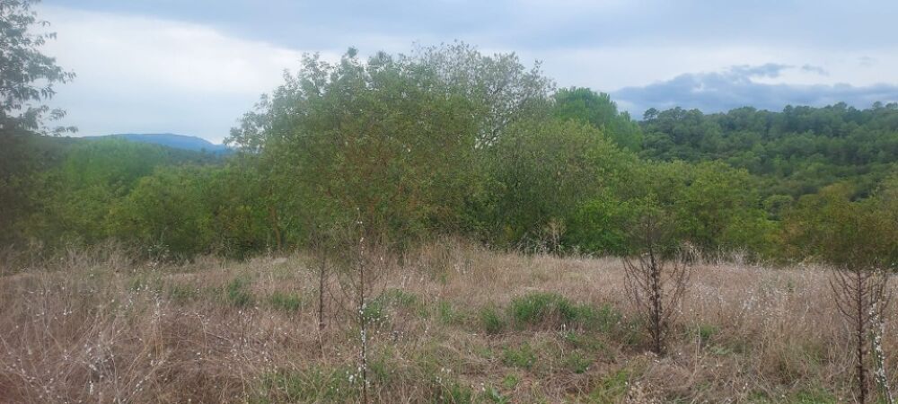 vente Terrain - 620 m² Camps-la-Source (83170)