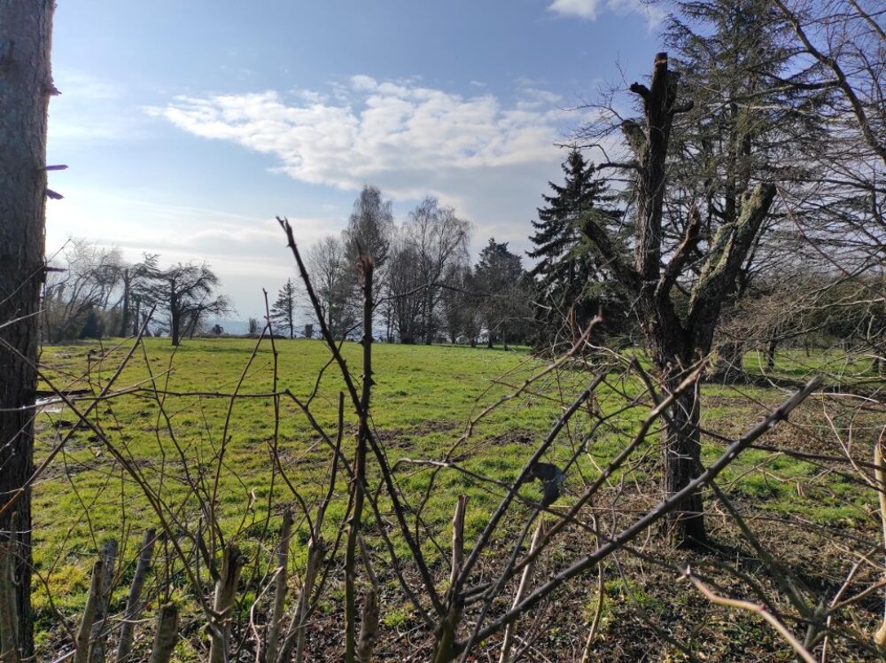vente Maison - 6 pièce(s) - 139 m² Grangues (14160)