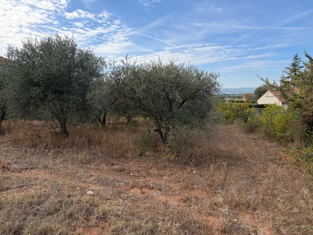 vente Terrain - 446 m² Pourrières (83910)