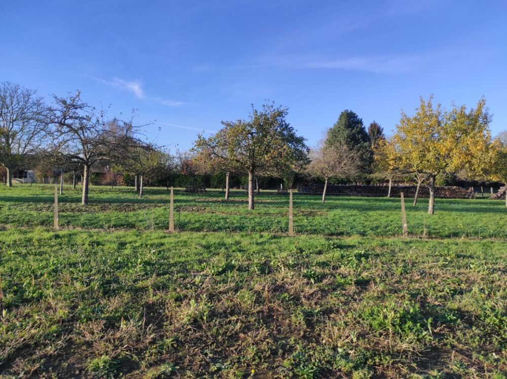 vente Terrain - 549 m² La Haye-Malherbe (27400)