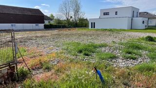  Terrain 787 m� Bantzenheim