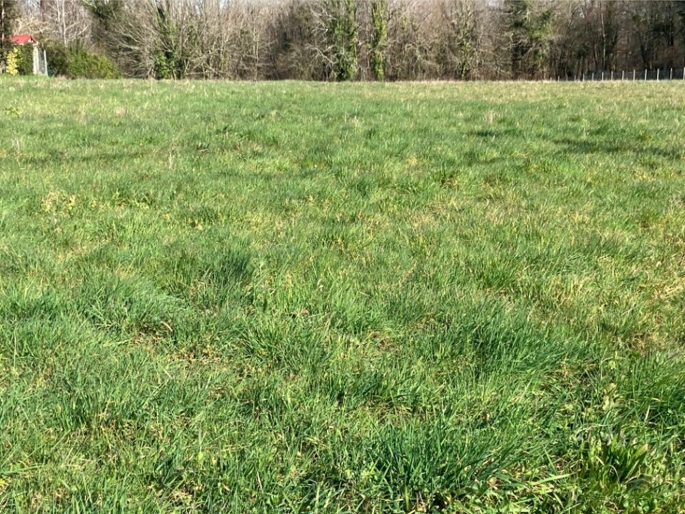 vente Terrain - 413 m² Saint-Césaire (17770)