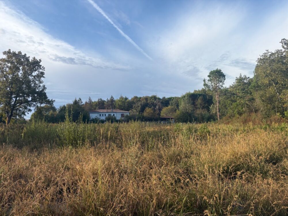 vente Terrain - 852 m² La Brède (33650)