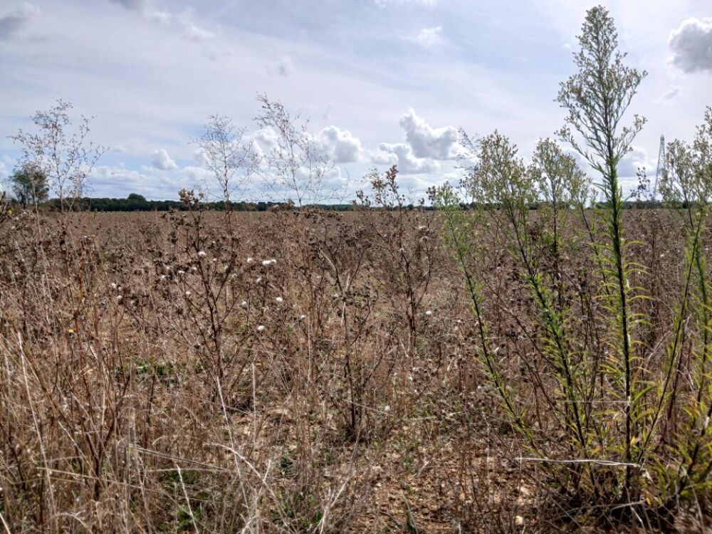 vente Maison - 6 pièce(s) - 100 m² Frénouville (14630)