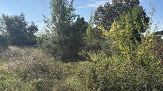 vente Terrain - 550 m² Pessac (33600)