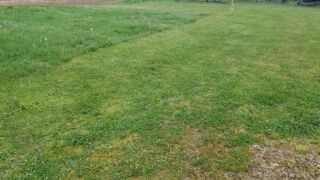  Maison 4 pi�ces 100 m� Madirac