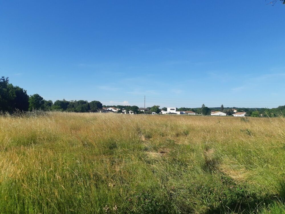 vente Maison - 4 pièce(s) - 73 m² Saint-Sulpice (81370)