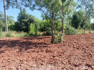  Terrain à vendre 300 m²