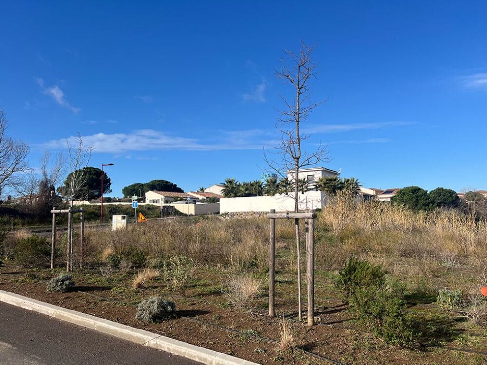 vente Terrain - 350 m² Saint-Thibéry (34630)