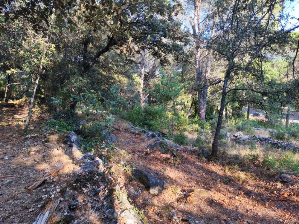 vente Terrain - 1920 m² Camps-la-Source (83170)