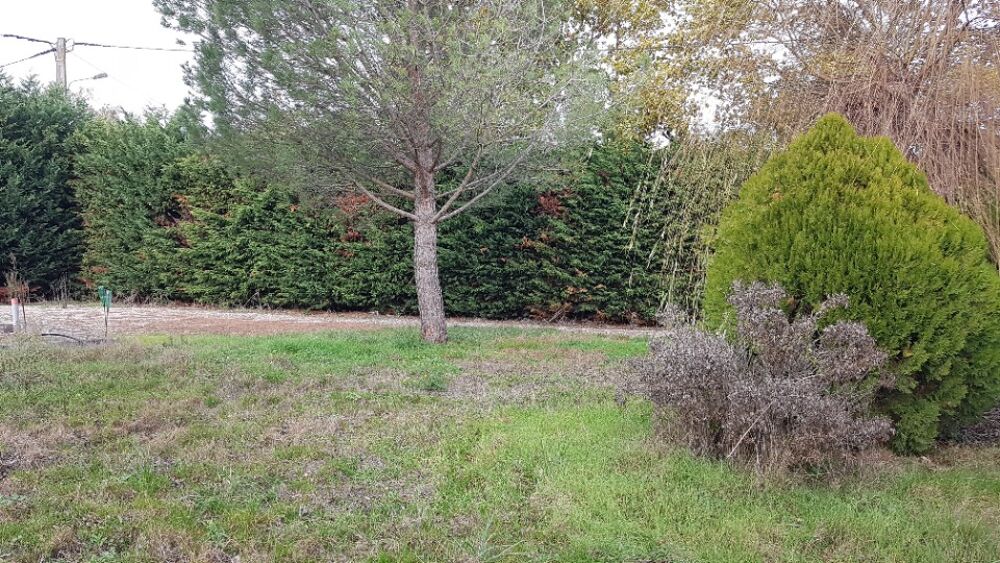 vente Maison - 4 pièce(s) - 104 m² La Salvetat-Saint-Gilles (31880)
