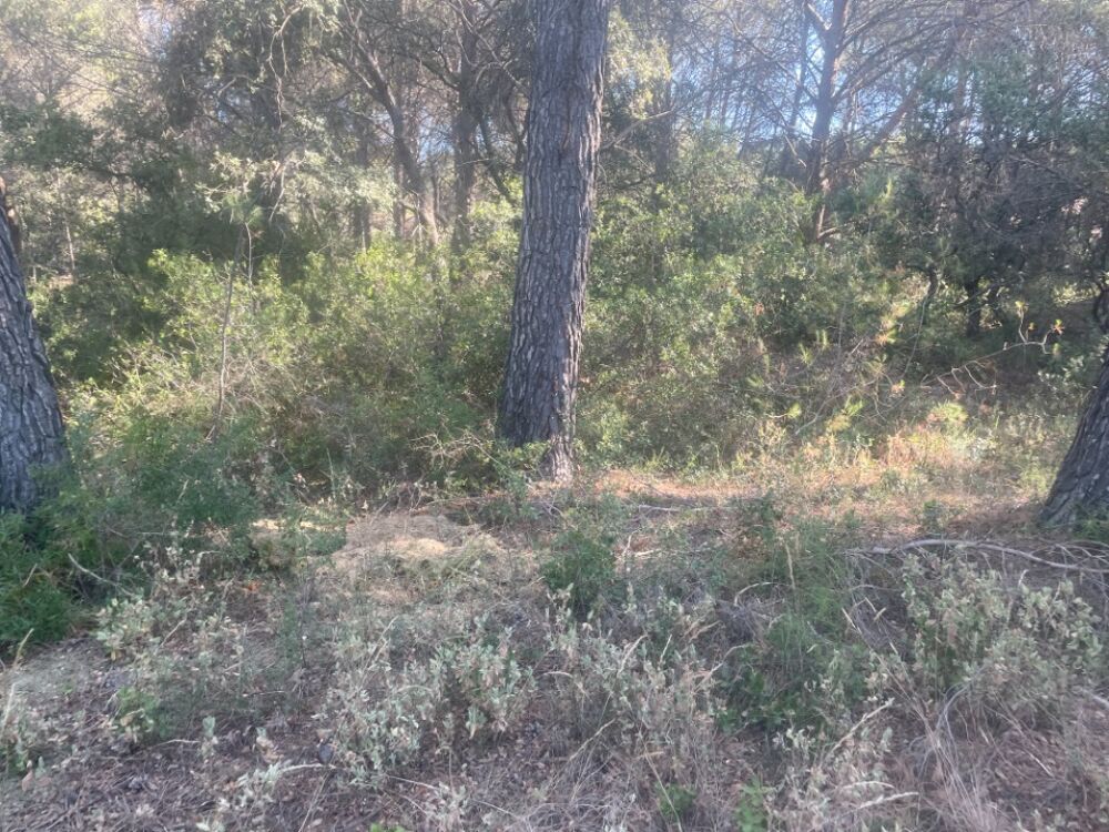 vente Terrain - 528 m² Lambesc (13410)