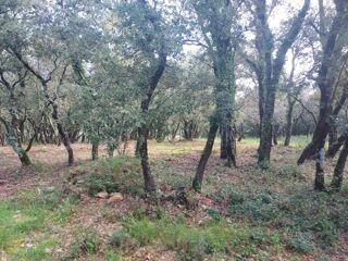  Terrain � vendre 967 m�