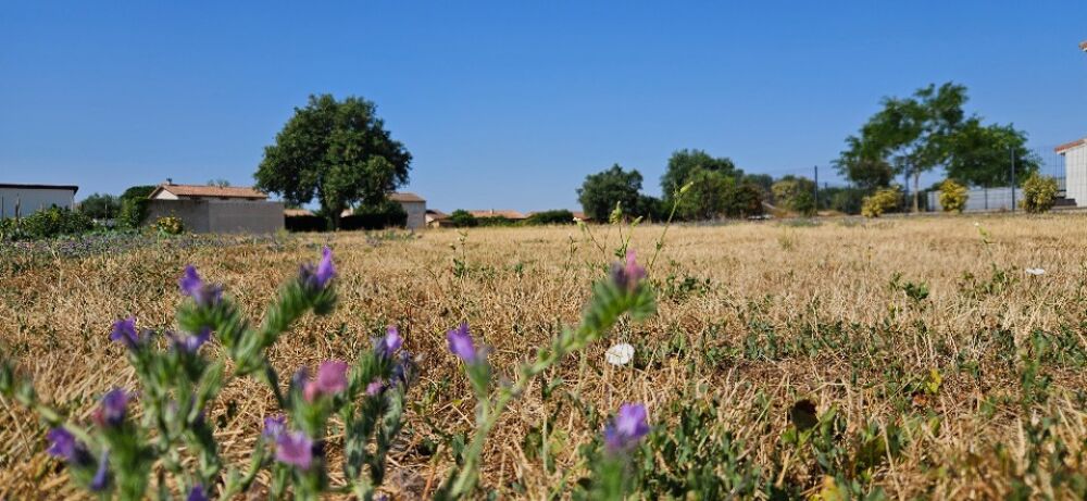 vente Terrain - 470 m² Saint-Clar-de-Rivière (31600)