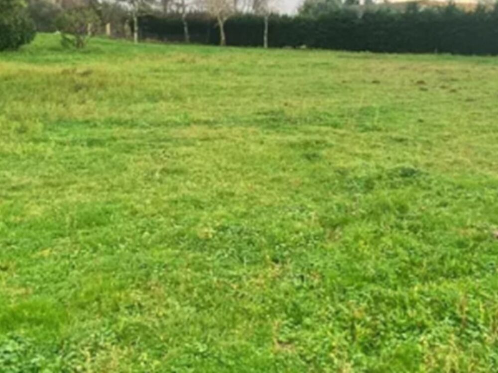 vente Terrain - 475 m² Saint-Yzan-de-Soudiac (33920)