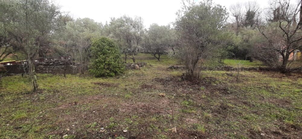 vente Terrain - 641 m² Draguignan (83300)