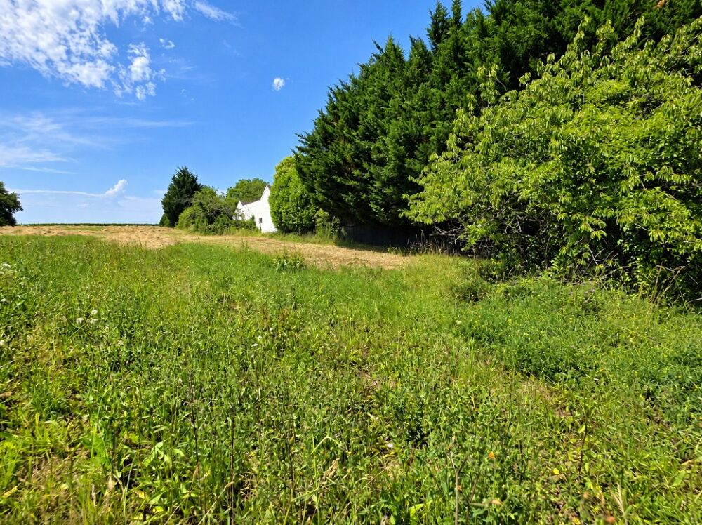 vente Maison - 6 pièce(s) - 139 m² Guérard (77580)