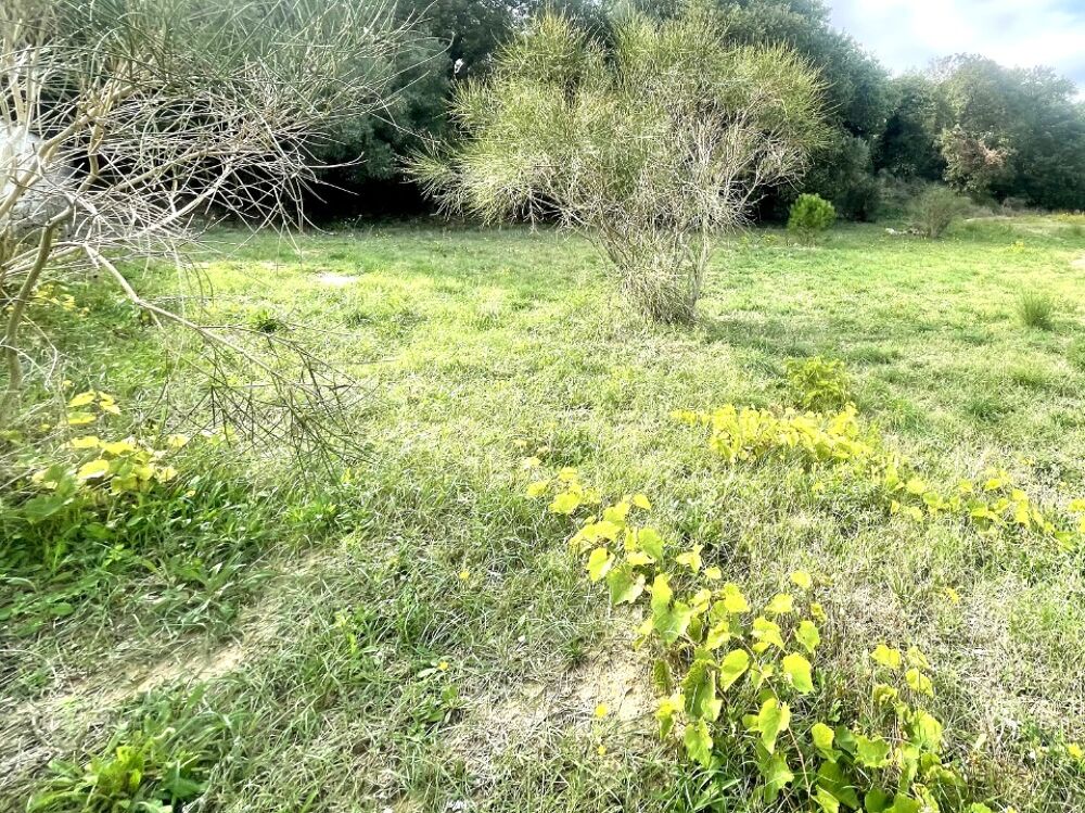 vente Terrain - 970 m² Canet-en-Roussillon (66140)