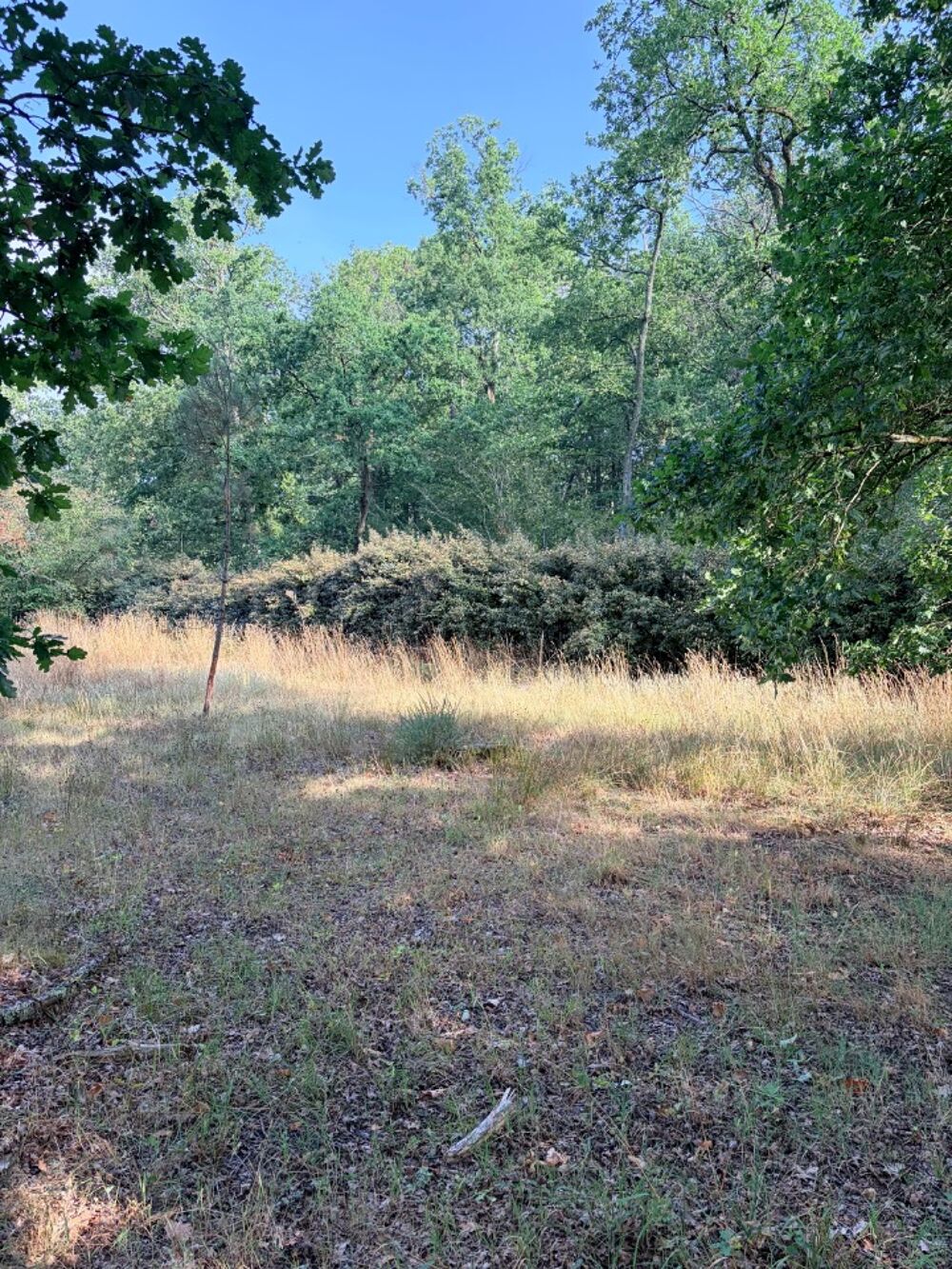 Terrain viabilisé de 450 m² avec projet maison contempor....