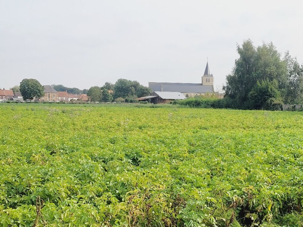 vente Terrain - 448 m² Audruicq (62370)