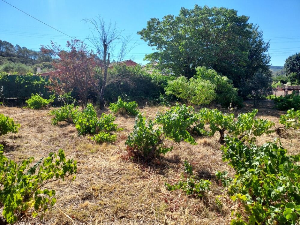 vente Terrain - 880 m² Sainte-Anastasie-sur-Issole (83136)