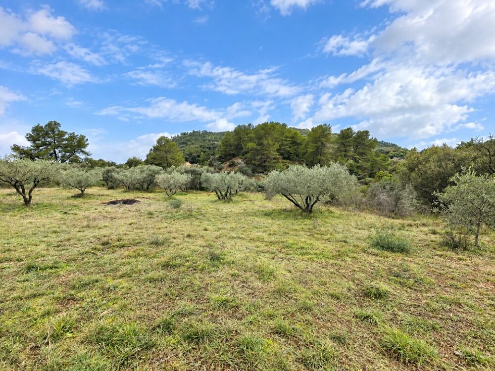 vente Terrain - 500 m² Gonfaron (83590)