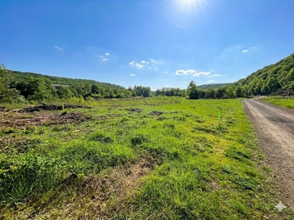 vente Terrain - 461 m² Algrange (57440)
