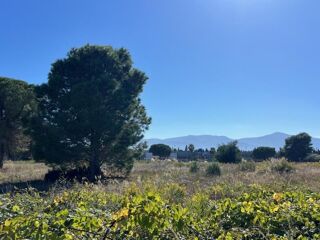  Terrain � vendre 176 m�