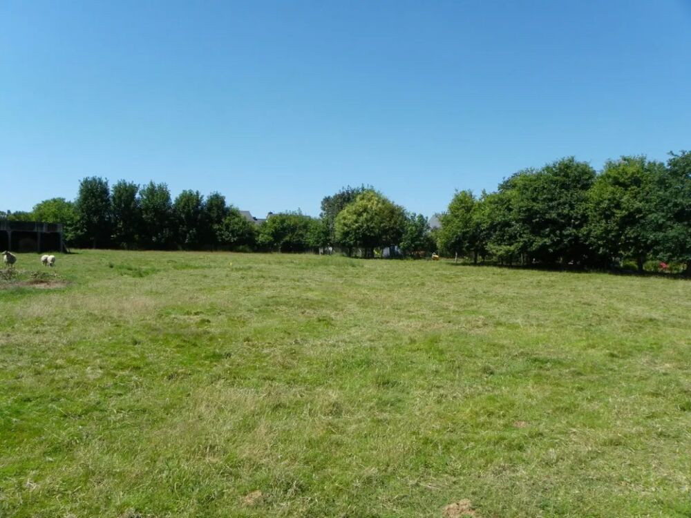 vente Maison - 5 pièce(s) - 150 m² Mannevillette (76290)