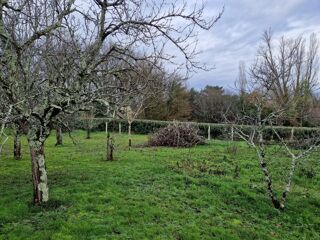  Maison 5 pi�ces 148 m� Beychac-et-caillau