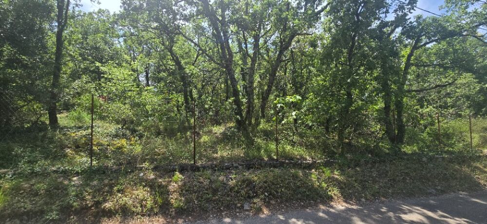 vente Terrain - 1565 m² Saint-Cézaire-sur-Siagne (06530)