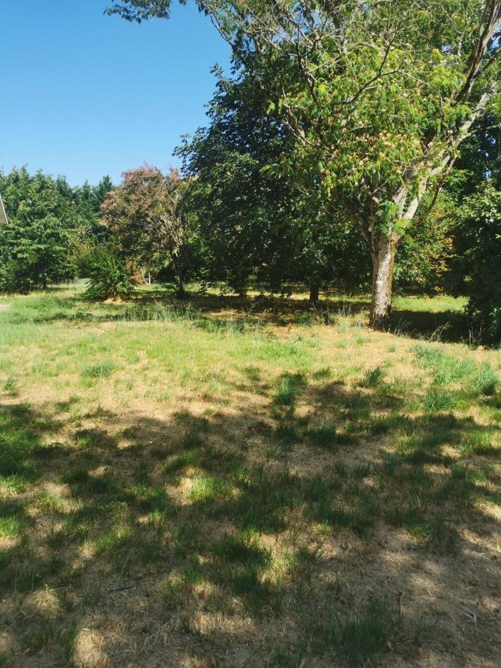 vente Maison - 3 pièce(s) - 85 m² Roaillan (33210)