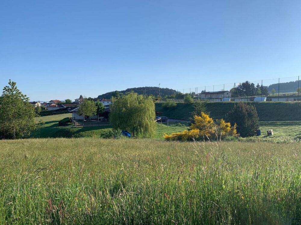 vente Terrain - 650 m² La Chapelle-d'Aurec (43120)