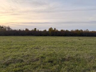  Maison 5 pices 107 m Saint-laurent-des-vignes