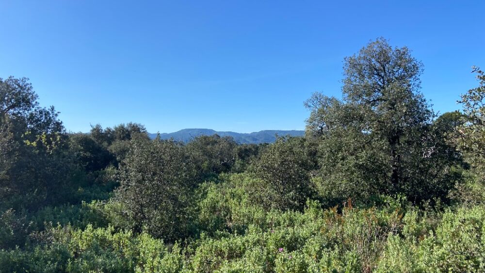 vente Terrain - 1165 m² Puget (84360)