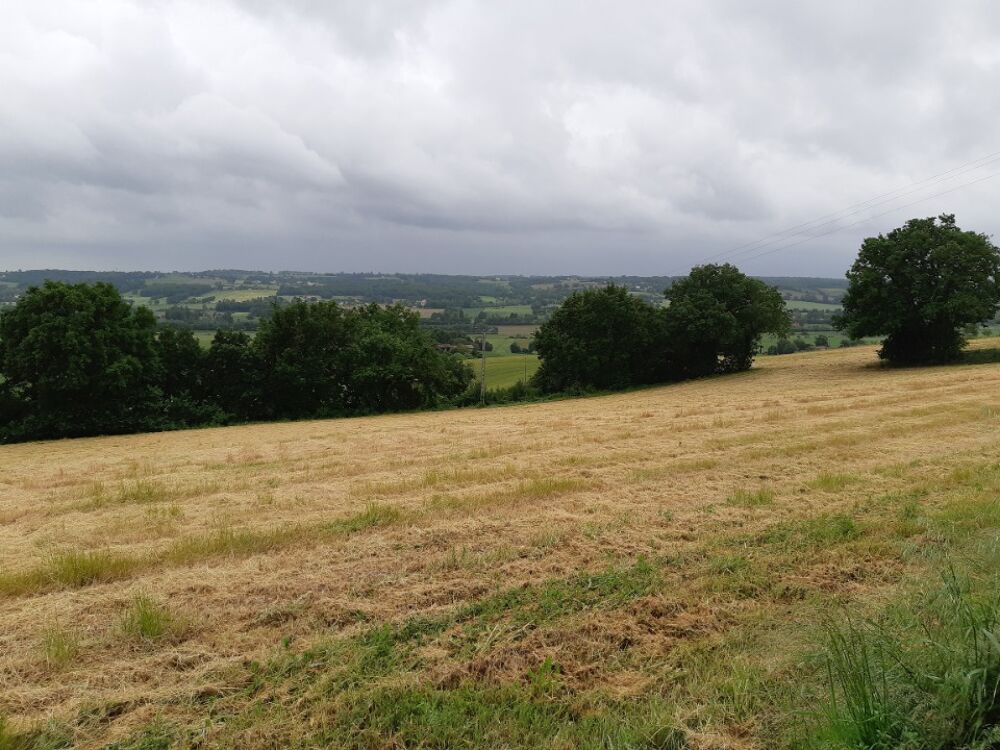 vente Terrain - 656 m² Montjoire (31380)