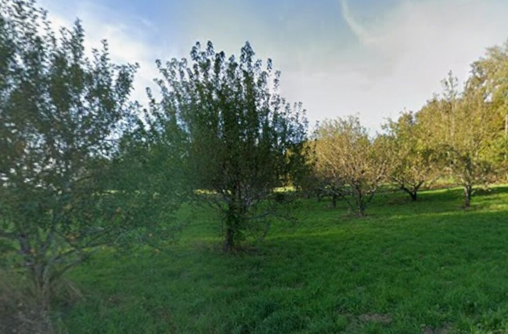 vente Maison - 4 pièce(s) - 100 m² Saint-Mexant (19330)