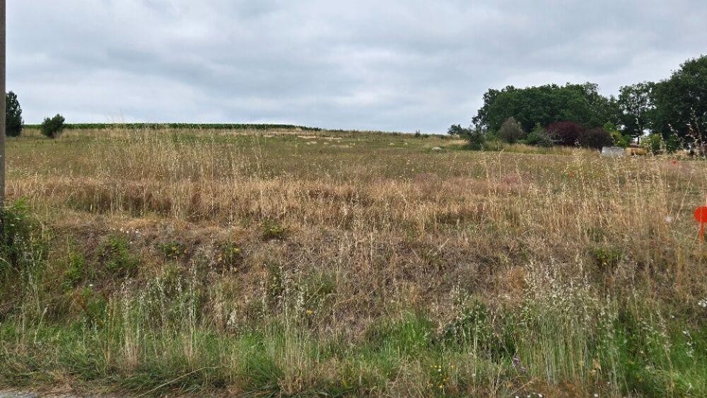vente Terrain - 1320 m² Saint-Savin (33920)