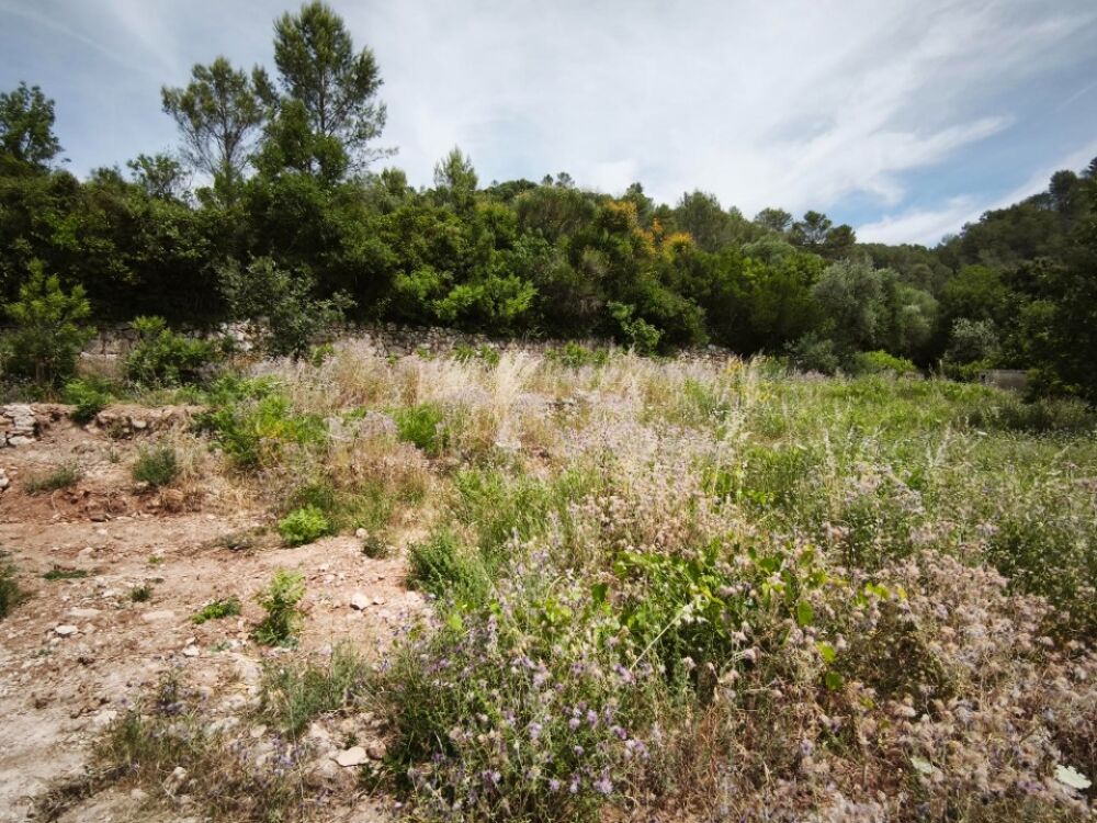 vente Terrain - 1017 m² Belgentier (83210)
