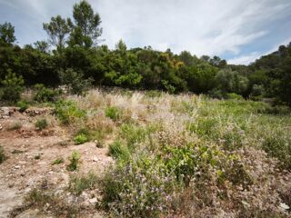  Terrain à vendre 1017 m²