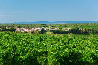  Terrain � vendre 443 m�