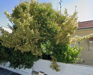  Terrain � vendre 555 m�